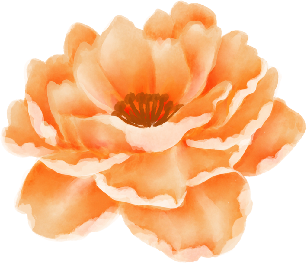 Watercolor Individual Orange Flower